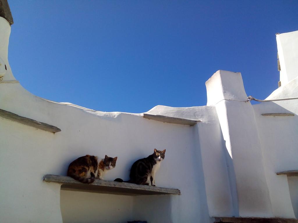 Balcony To The Aegean Villa Steni Exterior photo