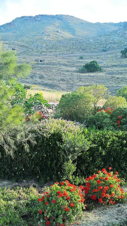 Balcony To The Aegean Villa Steni Exterior photo